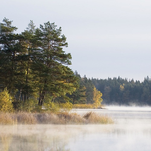 Прекрасный пейзаж Скандинавии